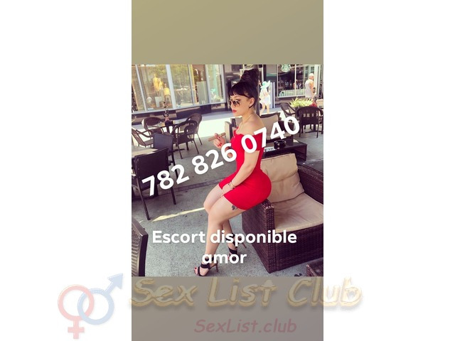 Hola amor brindo servicios escort en diferentes area disponible