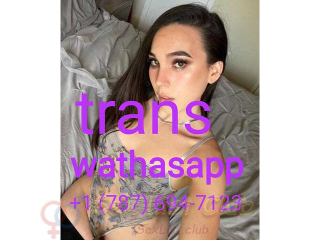 Transexual transexual limpio joven escribe o llama