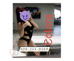 Más de 5 chicas disponibles ahora solo llama