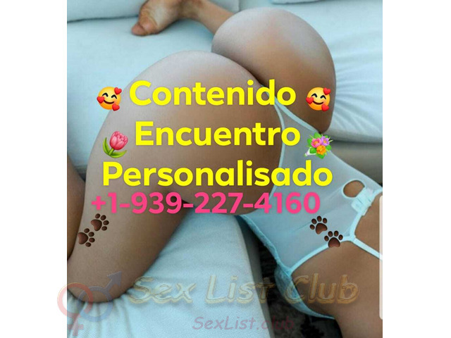 Disponible y dispuesta para ti estoy bellaca