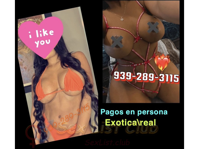 EsCORTPR VIDEOLLAMADA Q SOY REAL PAPI