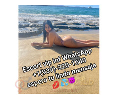 Recién llega rico placer en toda las zona disponible