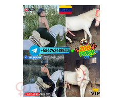 CHICA ZOO PORNO TELEGRAM SEXO ANIMAL LINDA RUBIA PUTA VIRTUAL TELEGRAM