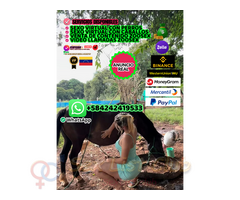 MUJER SEXO CON ANIMALES ASISTENCIA ONLINE VIP