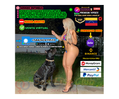 PRIVADO SEXO ZOOFILIA PORNO REAL VIRTUAL SEX