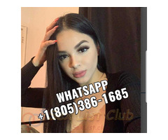 Ya estoy de regreso WhatsApp 18053861685